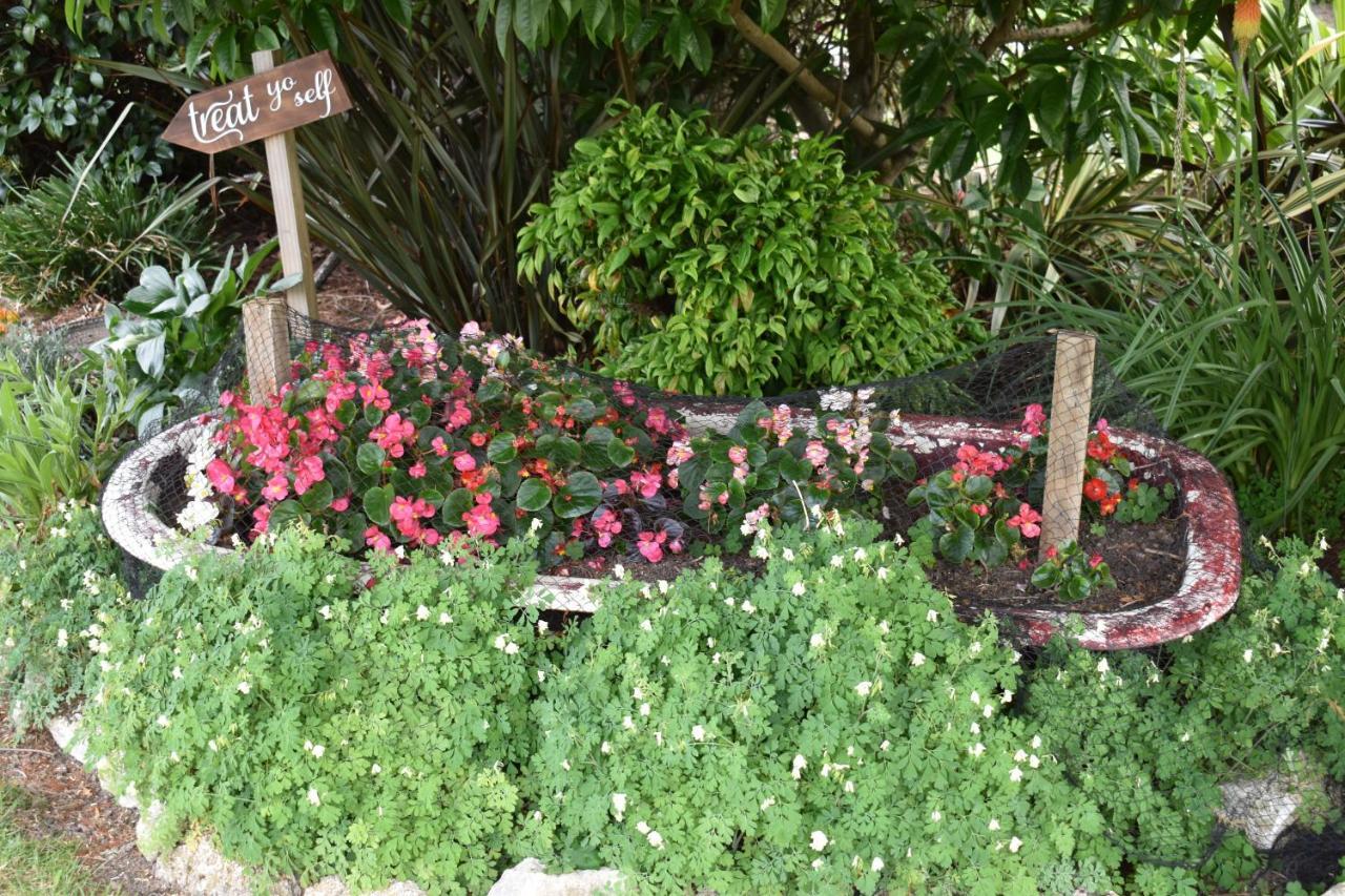 마스터톤 Olivista B&B 외부 사진